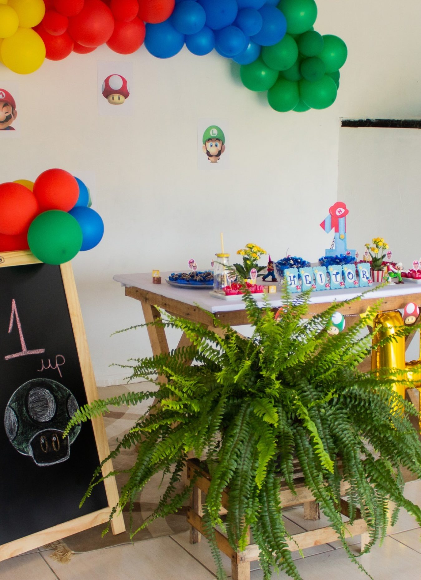 Heitor1Ano (16)