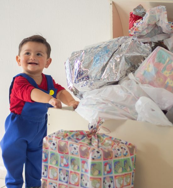 Heitor1Ano (18)