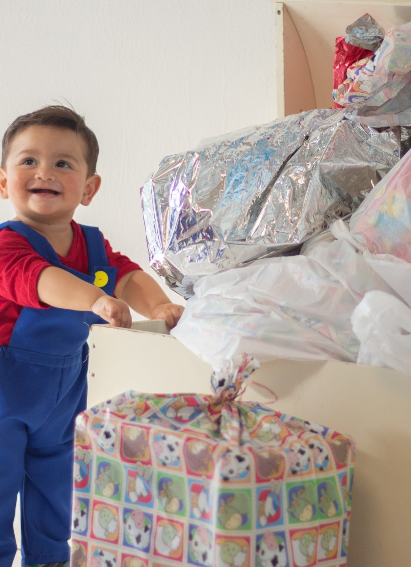 Heitor1Ano (18)