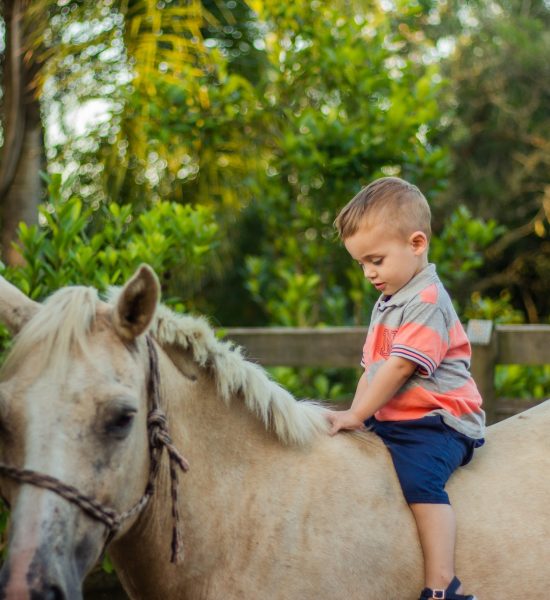 Joaquim2Anos (14)