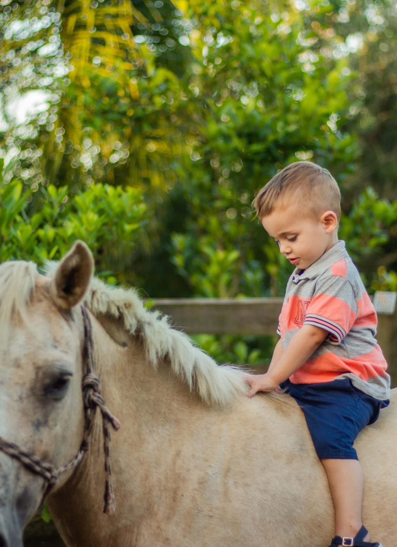 Joaquim2Anos (14)