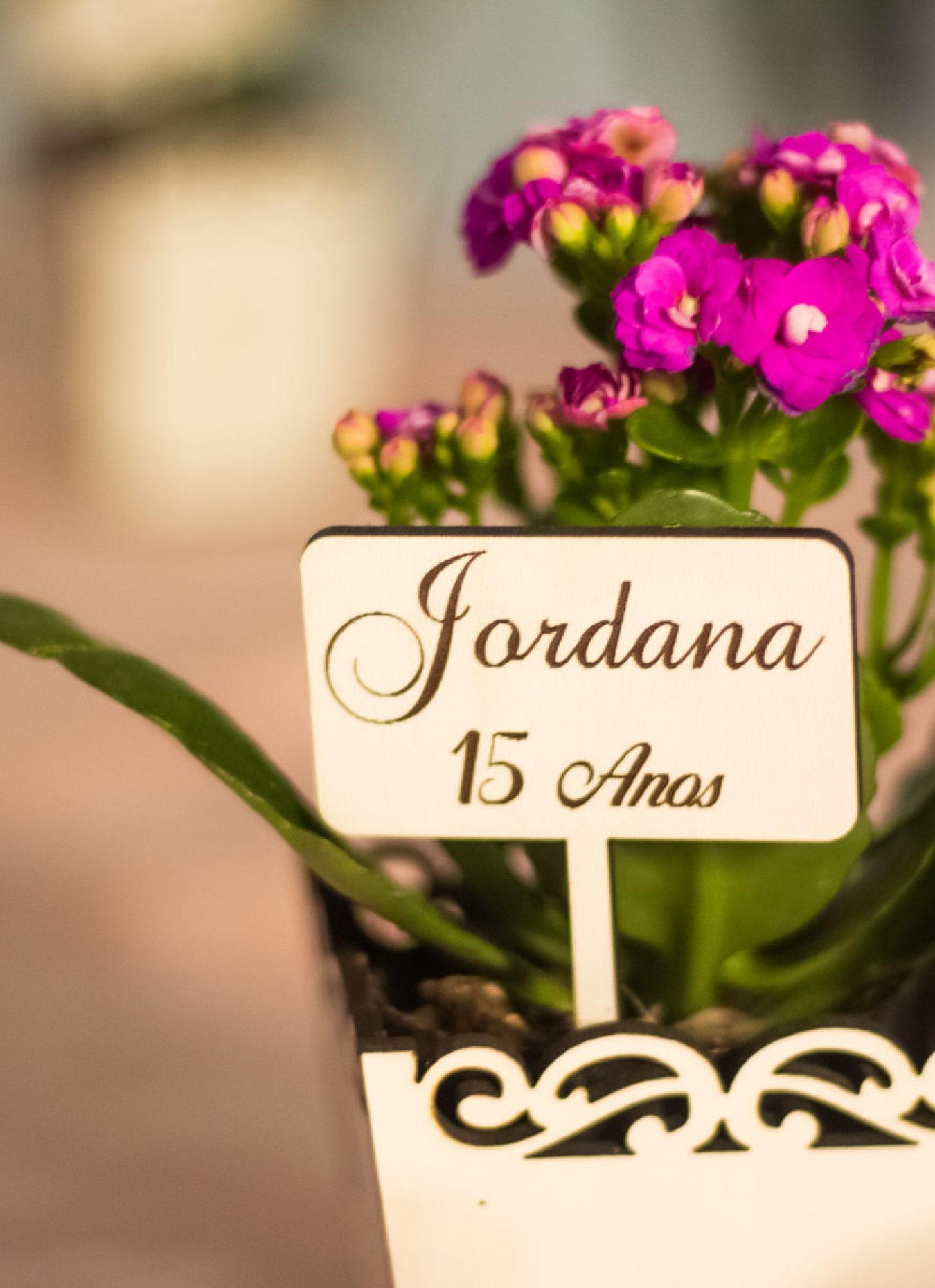 Jordana15Anos2023 (12)