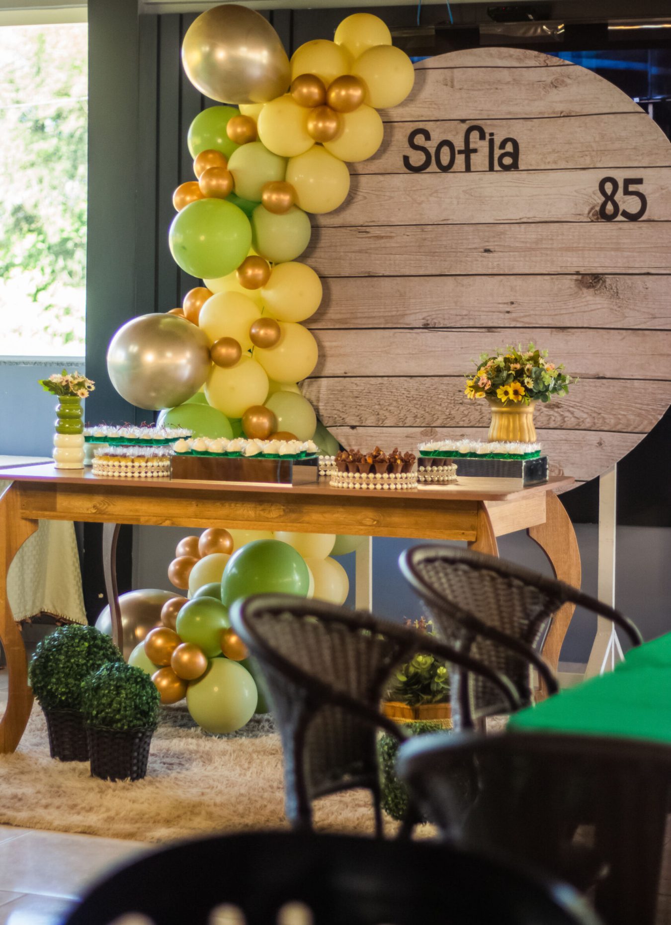 Sophia85Anos2023 (1)