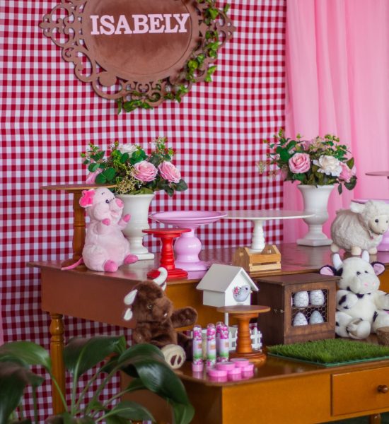 isabelyaniversario2020 (4)